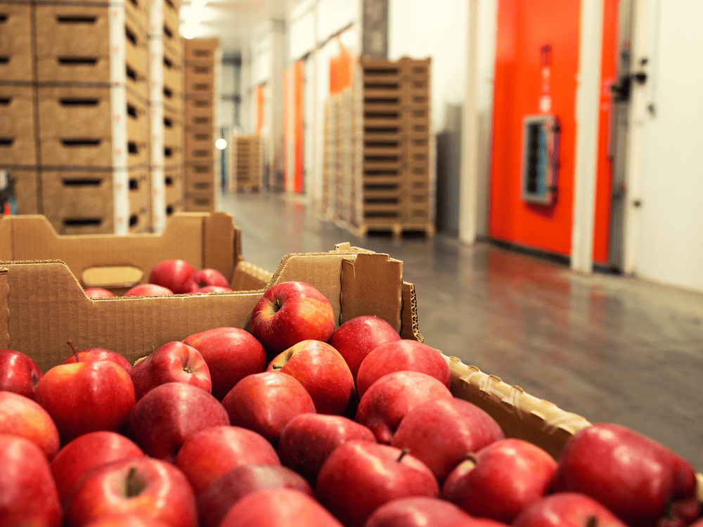 Fresh Foods